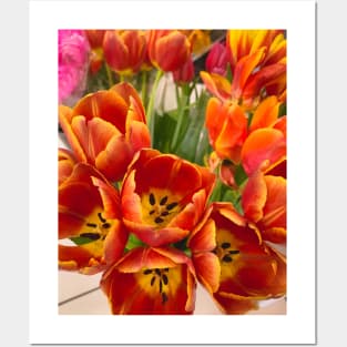 Orange Tulips Flowers Floral Plant Blossoms Posters and Art